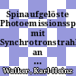 Spinaufgelöste Photoemissionsspektroskopie mit Synchrotronstrahlung an epitaktischem Fe auf Ag(001) und GaAs(110) [E-Book] /