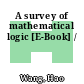 A survey of mathematical logic [E-Book] /