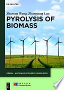 Pyrolysis of biomass [E-Book] /