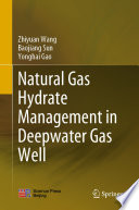 Natural Gas Hydrate Management in Deepwater Gas Well [E-Book] /