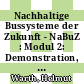 Nachhaltige Bussysteme der Zukunft - NaBuZ : Modul 2: Demonstration, NaBuZ-demo ; Abschlussbericht des Projektes /