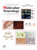 Molecular neurology /