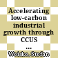 Accelerating low-carbon industrial growth through CCUS (ALIGN-CCUS) : Schlussbericht /