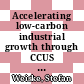 Accelerating low-carbon industrial growth through CCUS (ALIGN-CCUS) : Schlussbericht [E-Book] /