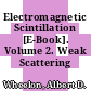 Electromagnetic Scintillation [E-Book]. Volume 2. Weak Scattering /