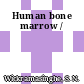 Human bone marrow /