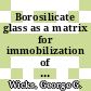 Borosilicate glass as a matrix for immobilization of SRP high-level waste : [E-Book]