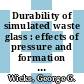 Durability of simulated waste glass : effects of pressure and formation of surface layers : proposed for presentation at the meeting on glass microstructure: surface and bulk - sixth university series on glass science, University Park, Pennsylvania, July 29 - 31, 1981, and publication in the journal on non-crystalline solids [E-Book] /
