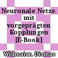 Neuronale Netze mit vorgeprägten Kopplungen [E-Book] /