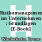 Risikomanagementsystem im Unternehmen : Grundlagen [E-Book] /