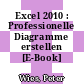 Excel 2010 : Professionelle Diagramme erstellen [E-Book] /