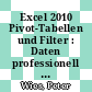 Excel 2010 Pivot-Tabellen und Filter : Daten professionell auswerten [E-Book] /