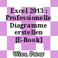 Excel 2013 : Professionelle Diagramme erstellen [E-Book] /
