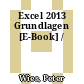 Excel 2013 Grundlagen [E-Book] /