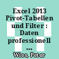 Excel 2013 Pivot-Tabellen und Filter : Daten professionell auswerten [E-Book] /