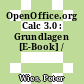 OpenOffice.org Calc 3.0 : Grundlagen [E-Book] /