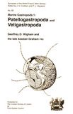 Marine gastropods . 1 . Patellogastropoda and vetigastropoda /