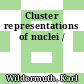 Cluster representations of nuclei /