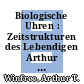 Biologische Uhren : Zeitstrukturen des Lebendigen Arthur T. Winfree
