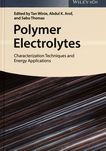 Polymer electrolytes : characterization techniques and energy applications /