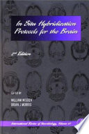 In situ hybridization : protocols for the brain /