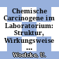 Chemische Carcinogene im Laboratorium: Struktur, Wirkungsweise und Massnahmen beim Umgang.
