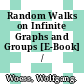 Random Walks on Infinite Graphs and Groups [E-Book] /