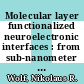 Molecular layer functionalized neuroelectronic interfaces : from sub-nanometer molecular surface functionalization to improved mechanicl and electronic cell-chip coupling [E-Book] /