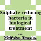 Sulphate-reducing bacteria in biological treatment wastewaters / [E-Book]
