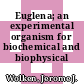 Euglena; an experimental organism for biochemical and biophysical studies.