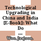 Technological Upgrading in China and India [E-Book]: What Do We Know? /