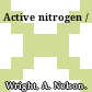 Active nitrogen /