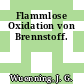 Flammlose Oxidation von Brennstoff.