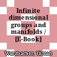 Infinite dimensional groups and manifolds / [E-Book]