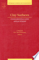 Clay surfaces [E-Book] : fundamentals and applications /