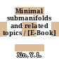 Minimal submanifolds and related topics / [E-Book]
