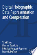 Digital holographic data representation and compression [E-Book] /