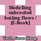 Modelling subcooled boiling flows / [E-Book]