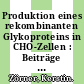 Produktion eines rekombinanten Glykoproteins in CHO-Zellen : Beiträge zur Prozessentwicklung /