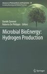 Microbial bioenergy : hydrogen production /