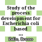 Study of the process development for Escherichia coli based pyruvate production [E-Book] /