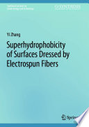 Superhydrophobicity of Surfaces Dressed by Electrospun Fibers [E-Book] /