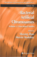 Bacterial artificial chromosomes. 2. Functional studies /