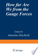 How Far Are We from the Gauge Forces [E-Book] /