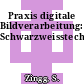 Praxis digitale Bildverarbeitung: Schwarzweisstechniken.