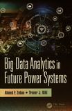 Big data analytics in future power systems /