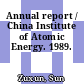 Annual report / China Institute of Atomic Energy. 1989.