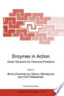 Enzymes in action : green solutions for chemical problems : [proceedings of the NATO Advanced Study Institute on Enzymes in Heteroatom Chemistry (Green Solutions for Chemical Problems) Berg en Dal, The Netherlands 19-30 June 1999] /