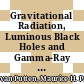 Gravitational Radiation, Luminous Black Holes and Gamma-Ray Burst Supernovae [E-Book] /