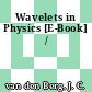 Wavelets in Physics [E-Book] /